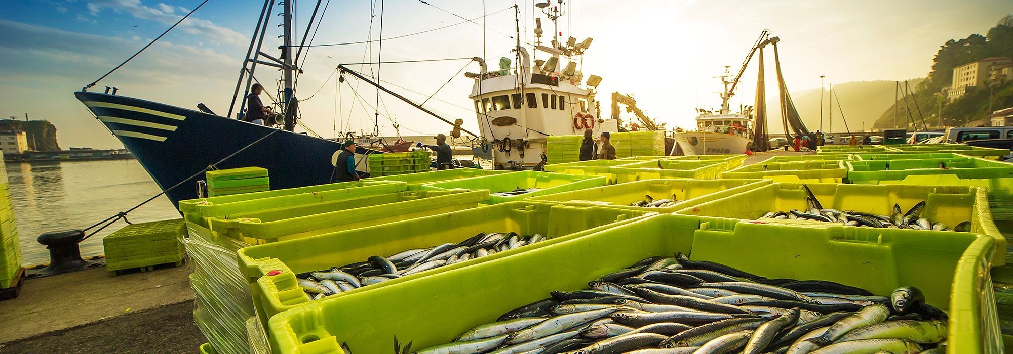 Fischhandel am Hafen