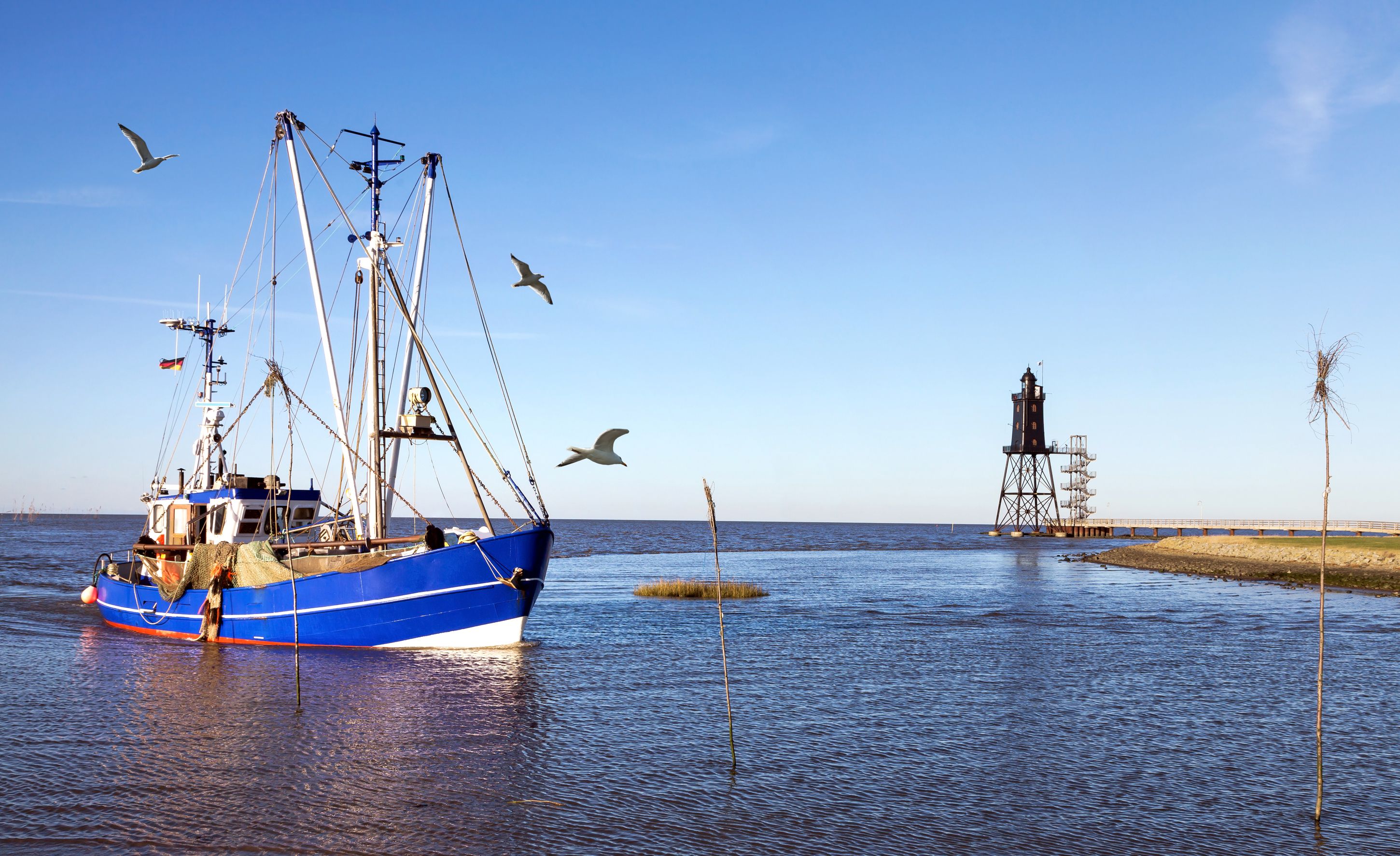 Ein leuchtend blaues Fischereifahrzeug mit roten und weißen Streifen am Rumpf und der deutschen Flagge am Mast, ist auf dem Wasser bei blauem Himmel zu sehen, während Möwen über ihm fliegen.